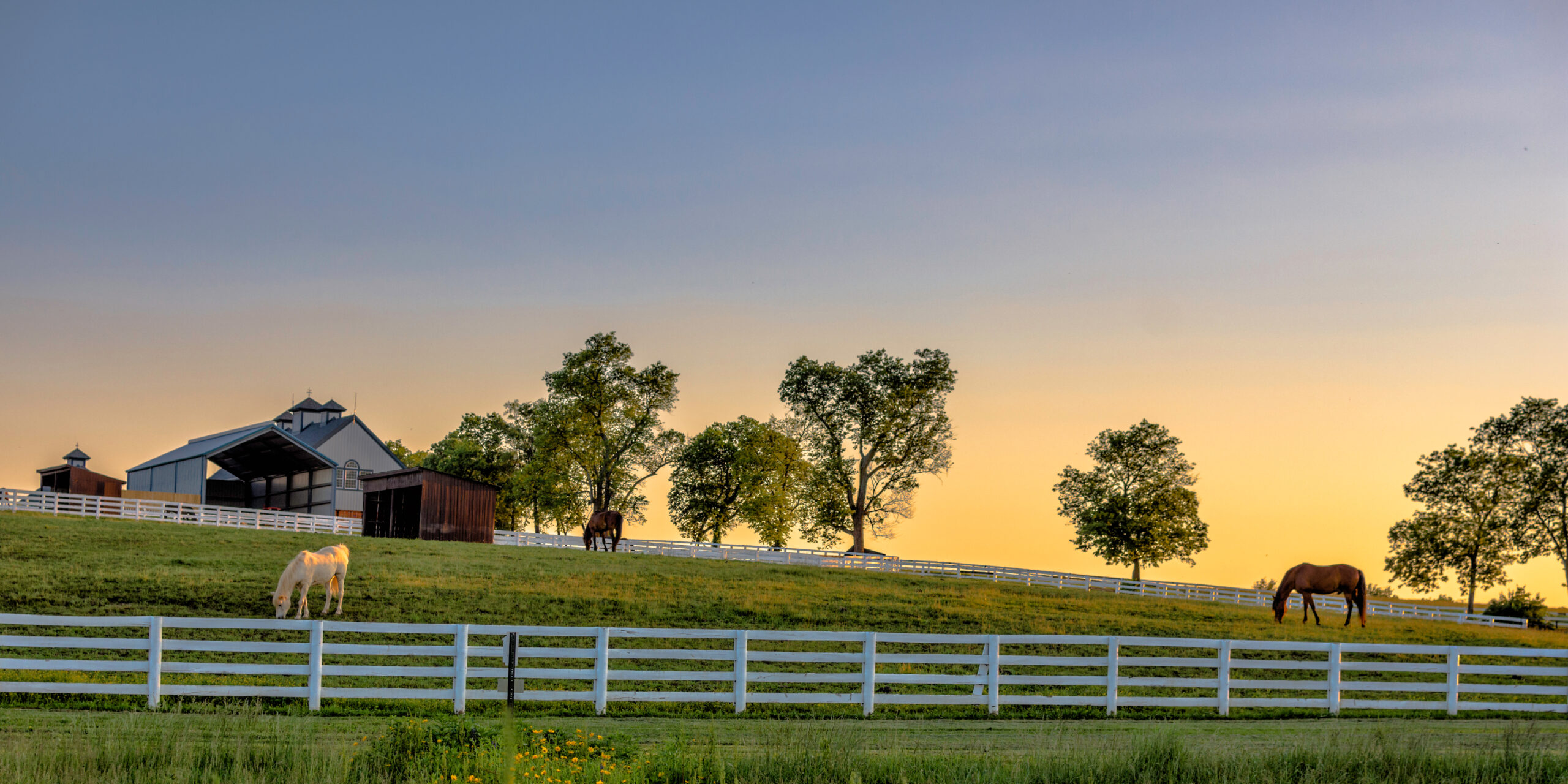 Kentucky farm at sunrise